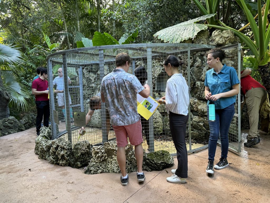 Team Parrotronix takes measurements and detailed notes about the historic cage our project will be installed in.